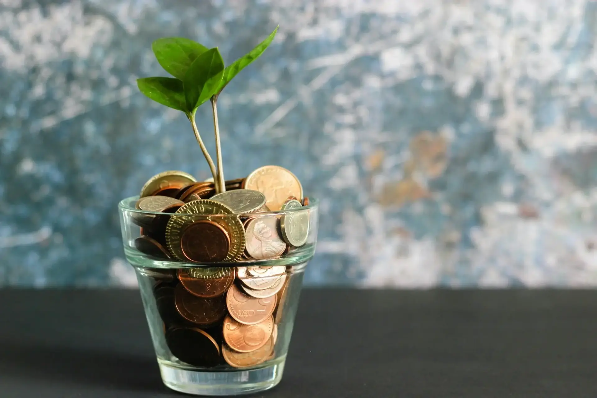 Startup Accounting: Built for Growth
